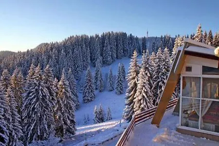 Complex Malina Villa