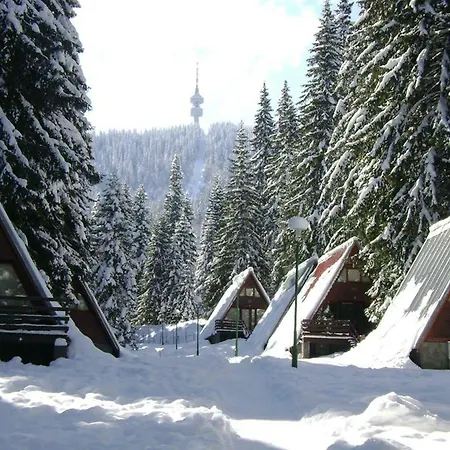 Complex Malina Villa *