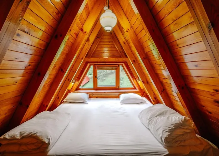 Complex Malina Vila *