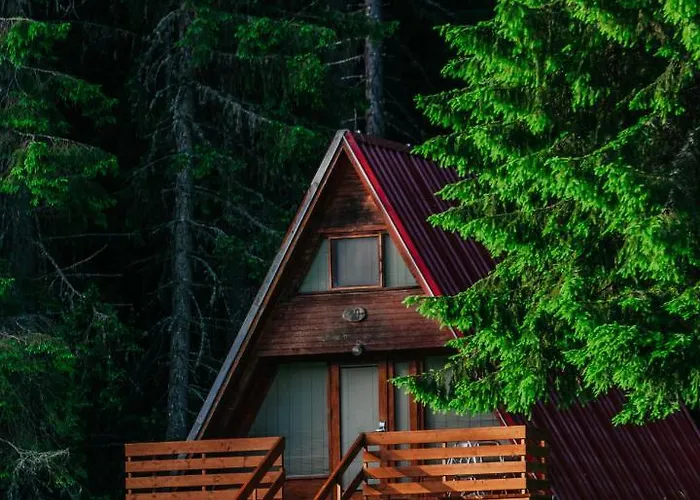 Complex Malina Vila *