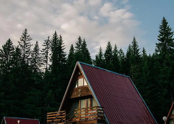 Complex Malina Villa *