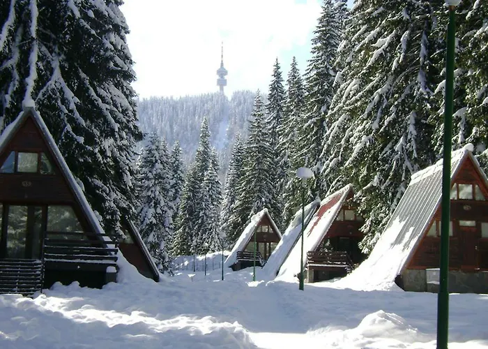 Complex Malina Vila *